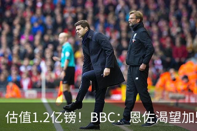 估值1.2亿镑！BBC：恩佐渴望加盟皇马，曼城以及巴黎已经退出竞争